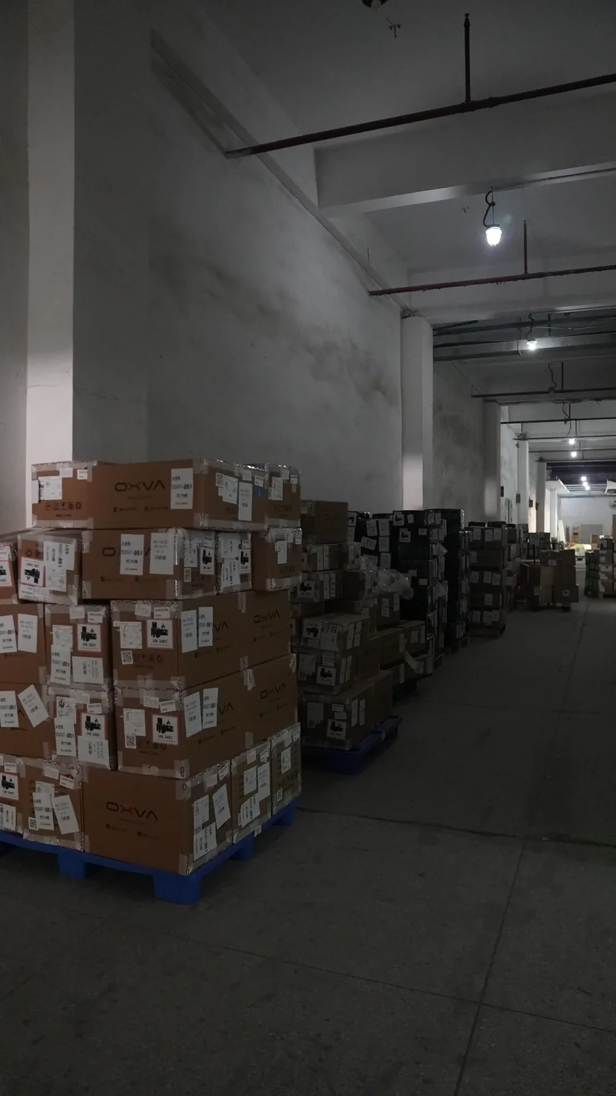 Export cartons neatly stacked on wooden pallets in the UTEC warehouse